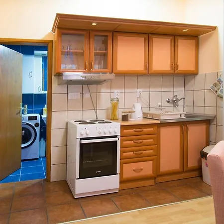 Sasa House Apartment *